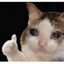 BL_macccca Discord emoji