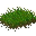Grass