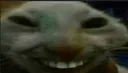xdd