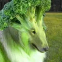 milesdog milesdog