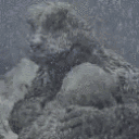 gojihug Discord Emoji