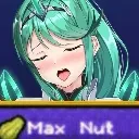 MAXNUT