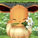 eevee_flower2