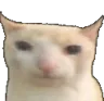 00_catstare Discord Emoji