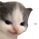 SH_angrybillu SH_angrybillu