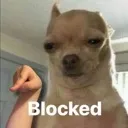 blocked blocked