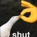 shut