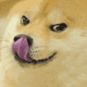 Doge67 Discord Emoji