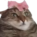 Akatukas