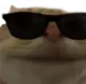 coolcat