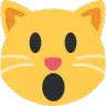 catopen_mouth
