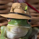 froge_what Discord Emoji