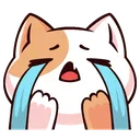 Cat Cry cat_cry Discord Emoji