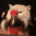 gatococa Discord emoji