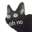 ohnocat