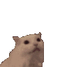 854044981290729562