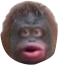 monke Discord emoji