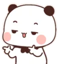 panda_cool