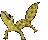 Geckodance Geckodance
