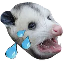 possumcry