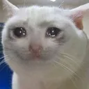 Sad2