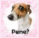 pene Discord emoji