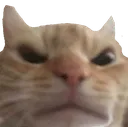 anger anger
