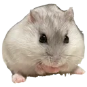 bestboytoeverexist