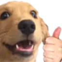 ogey