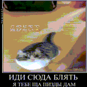 kotAhuel_file_107606225 Discord Emoji