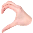 :kmKalpSag: