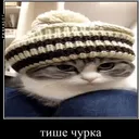 kotAhuel_file_107606174_0001 Discord Emoji