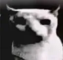 asshole_horror_story