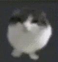 squishy