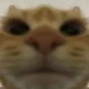mannykat