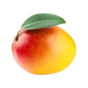 NBDH_mango