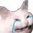 Catcry catcry Discord Emoji