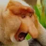 monkeomg monkeomg