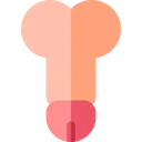 Penis