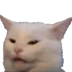 CattoWhat_b