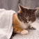 CatNapped