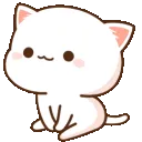 white_kitten_sitting