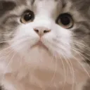yes