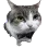 t_catbowtie