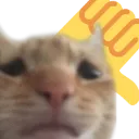 Catbadjob