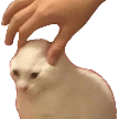 cats_shut_shh_shush Discord emoji