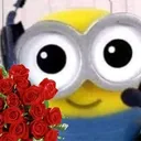 PL_cMinionRoses
