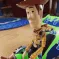 WoodyHandshake WoodyHandshake