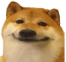 doge Discord emoji