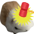 HampterBonk